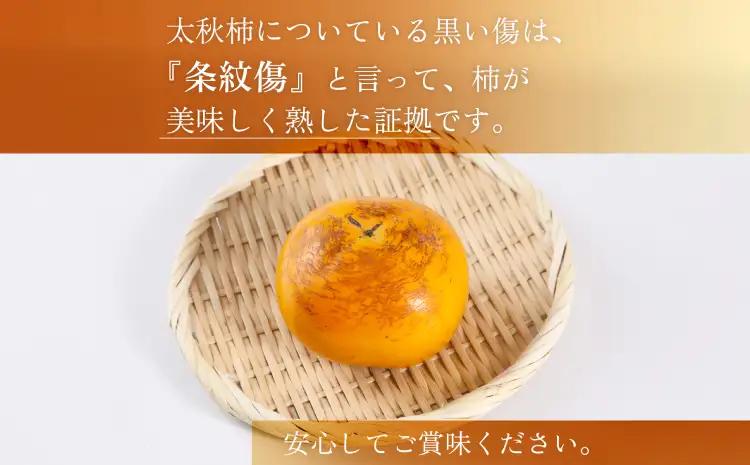 先行予約 柿 太秋柿 3kg くまふる宇城