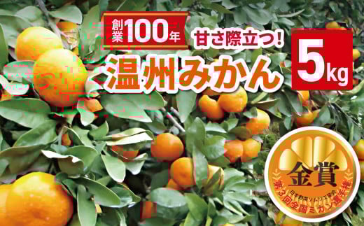 
            【 先行予約 】 創業100年 甘さ際立つ！ 温州みかん （くまもと和水町産） 約 5kg  | 第3回全国ミカン選手権 金賞受賞 熊本県 和水町 くまもと なごみまち みかん 柑橘 柑橘類 ミカン 5.5kg 1箱
          