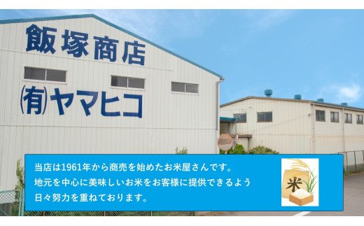 令和5年産茨城ミルキークイーン 5kg×2【お米・米・ミルキー