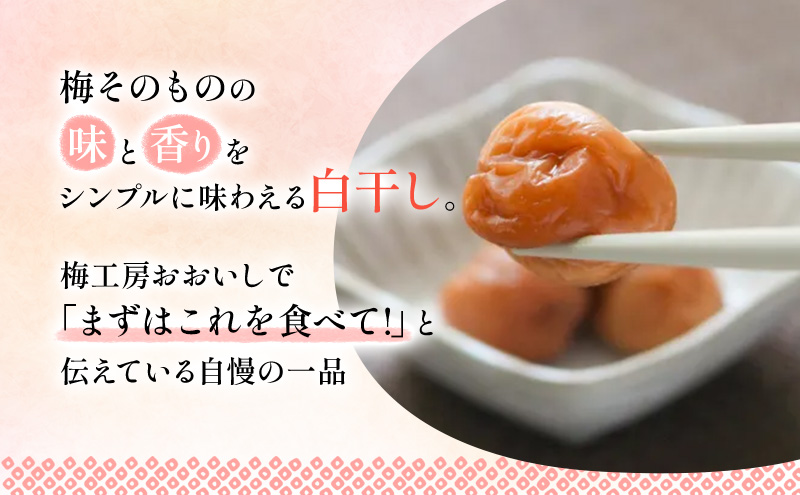 【定期便3ヶ月】八房梅使用 ごはんがおいしい！白干し梅 500g×2パック 梅干し うめぼし 白干し 塩漬け おにぎり 弁当 島田市 静岡県