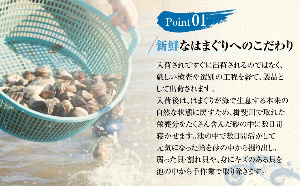 【指定日必須】マルヨシ水産 桑名産中粒天然蛤 3.3kg_はまぐり ハマグリ 魚介 貝 魚貝 活はまぐり 焼きはま 海鮮 網焼き 酒蒸し お吸い物 パエリア パスタ