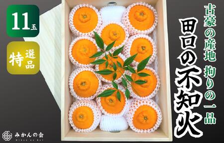 不知火 古豪の産地 田口の不知火 11玉木箱入 特選品 産地直送 贈答用 数量限定［みかんの会］