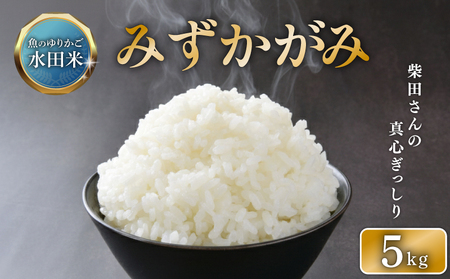【令和7年産】減農薬米 近江米 みずかがみ 白米 5kg ［shiba07] 白米