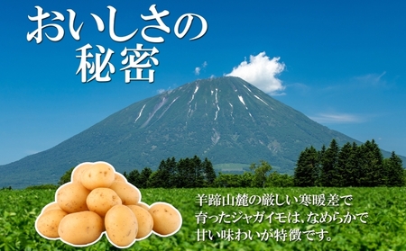 北海道産 じゃがいも きたかむい 約10kg Lサイズ ジャガイモ キタカムイ 馬鈴薯 いも ポテト 常備野菜 根菜 産直 国産 日本産 JAようてい 送料無料 北海道 倶知安町 北海道のジャガイモ 