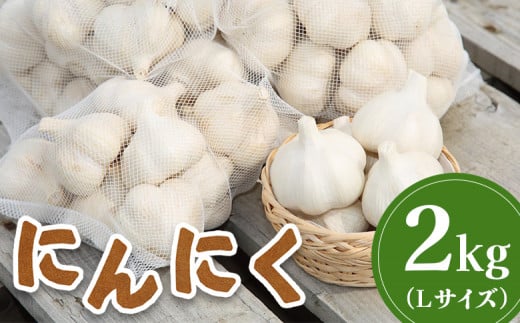 先行受付 にんにく 2kg （Lサイズ） ｜ オンライン 申請 ふるさと納税 北海道 新十津川 北海道産 ニンニク L 大サイズ 訳あり 訳あり品 規格外品 大容量 肉厚 野菜 やさい スタミナ スタミナ野菜 新十津川町【1200401】