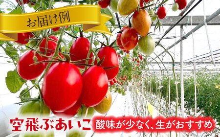 カラフル ミニトマト 1kg 野菜 トマト[AEBG001]