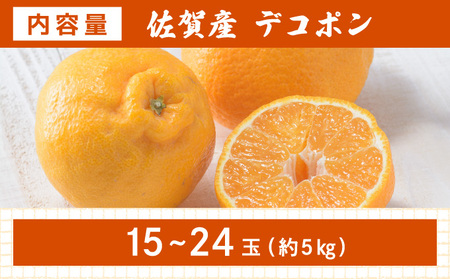 [先行予約] 佐賀産 デコポン15〜24玉(約5kg箱) 41nf-005