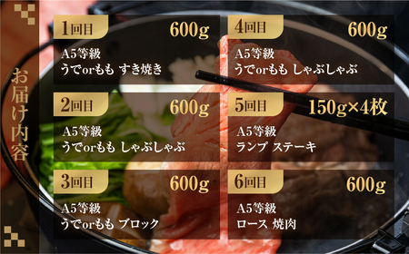 飛騨牛づくし定期便 6回 4人前 定期便 