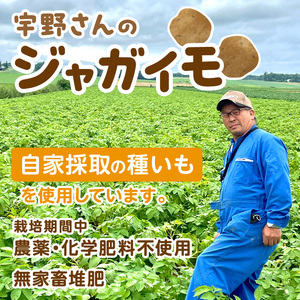 【予約：2024年2月から順次発送】【選べる3サイズ】宇野さんの手拾い、手選別の越冬ジャガイモ 5kg ( 芋 野菜 選べる )【167-0003】