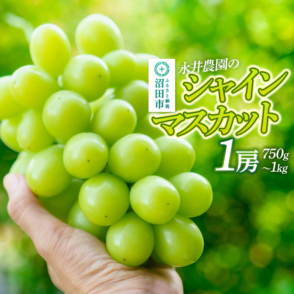 【ふるさと納税】シャインマスカット 1房（750g〜1kg）永井農園