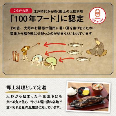 ふるさと納税 大野市 名水の里越前大野の「半夏生さば」1本×2箱 |  | 02