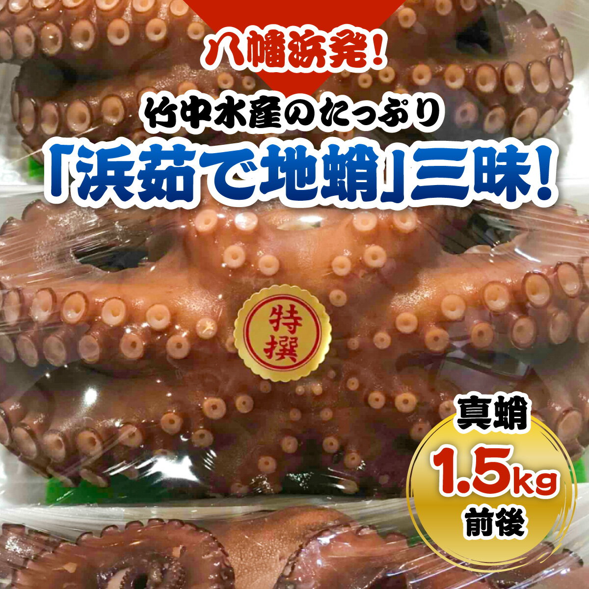 【ふるさと納税】八幡浜発!竹中水産のたっぷり「浜茹で地蛸」三昧!1.5kg前後【F22-189】_ たこ タコ 地たこ 蛸 地蛸 浜ゆで 魚介 魚介類 海鮮 天然 茹で 新鮮 刺身 冷蔵 サラダ 食べ応え 活き 【配送不可地域：離島】【1043154】YWTM016