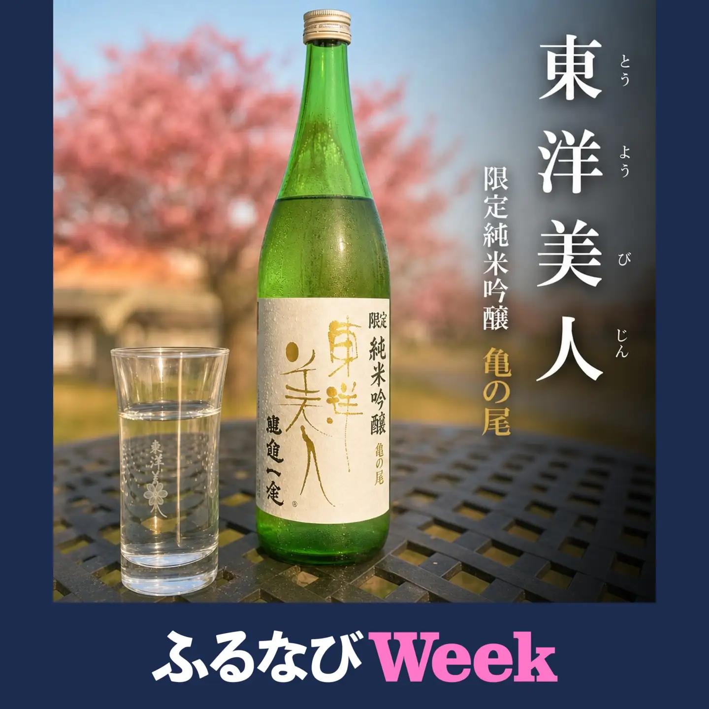 【ふるなびWEEK対象】東洋美人　限定純米吟醸　醇道一途　亀の尾/日本酒 お酒 清酒