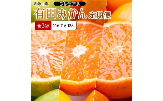 厳選 柑橘定期便SS（10～12月）全3回【みかん定期便お試し版】［IKE284］