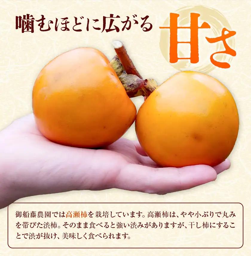 【先行予約】半生干し柿 御船藤農園 12個《2026年11月上旬-2027年1月中旬頃出荷》