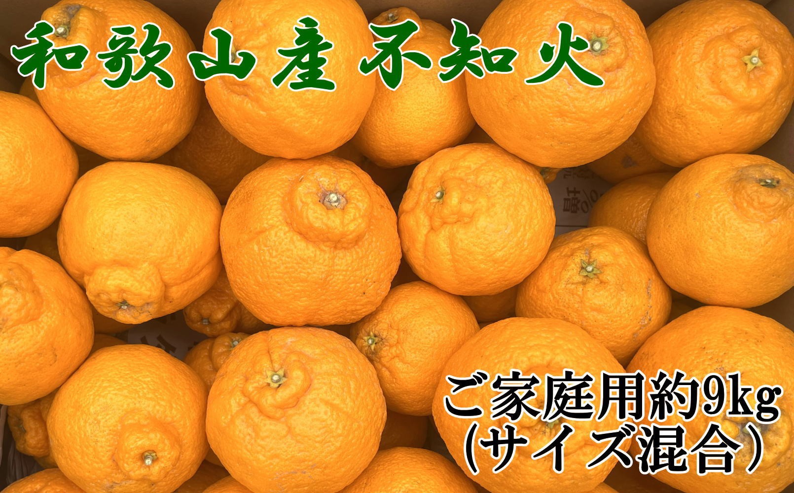 
                  【訳あり・ご家庭用】「農園直送」和歌山県産不知火　もりもりの約9kg(サイズ混合)＜2027年2月下旬～2027年3月下旬頃発送＞【TM-tecj1055】
                