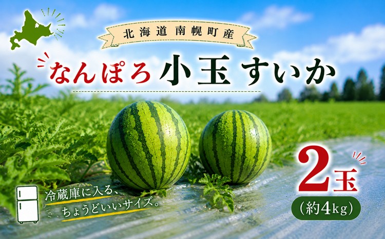 
                  【8月発送】北海道産 小玉スイカ 2玉 約4kg なんぽろ小玉すいか 令和7年度産 8月発送開始 南幌町 NP1-348
                