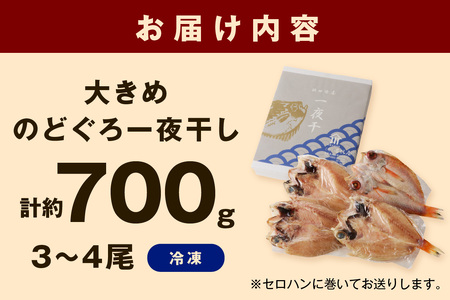 山陰浜田 香住屋のこだわり干物「大きめのどぐろ一夜干し」（3～4尾） 魚介類 のどぐろ 一夜干し 干物 ふるさと納税 のどくろ セット 【658】