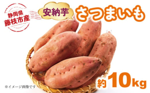 【2025年11月～順次発送予定】 さつまいも 安納芋 約10kg 期間限定 期間限定 サツマイモ 焼き芋 イモ 芋 いも 野菜 健康 やさい 人気 おすすめ 静岡県 藤枝市