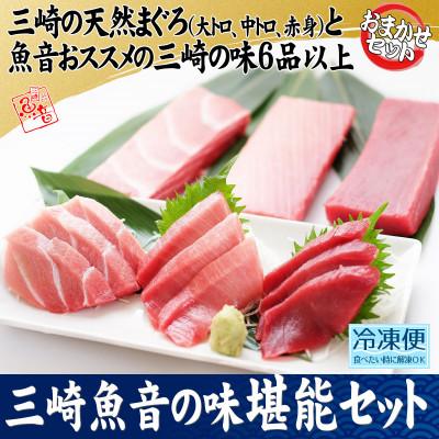 ふるさと納税 三浦市 三崎魚音の味堪能セット