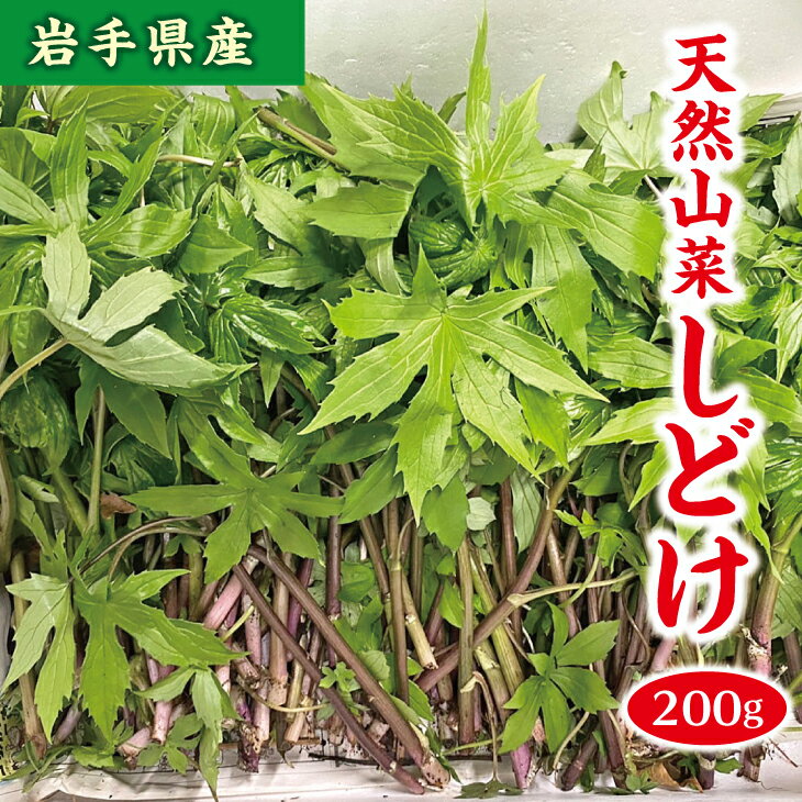 【ふるさと納税】 【先行予約】 【4月下旬頃～発送予定】 山菜 しどけ 約200g 天然山菜 さんさい 野菜 やさい 山の幸 旬