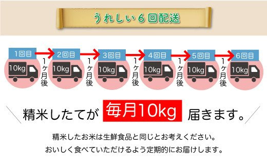 ＜令和6年産米＞ 令和7年2月下旬より配送開始 雪若丸【無洗米】60kg定期便(10kg×6回)　大蔵村