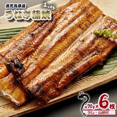 うなぎ 鹿児島県産　うなぎ蒲焼　約70g×6枚【タレ・山椒付】 