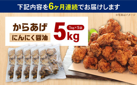 【全6回定期便】からあげ ニンニク醤油味　5kg　計30kg【から太郎】[BDBC002-11]