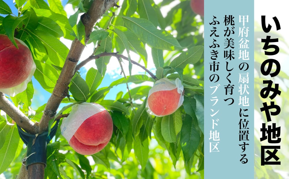 山々のミネラルが流れ出し作られた扇状地の肥沃な大地で、甲府盆地の外縁で沢山の日光を浴びながら育つ最高の桃をお届けします！