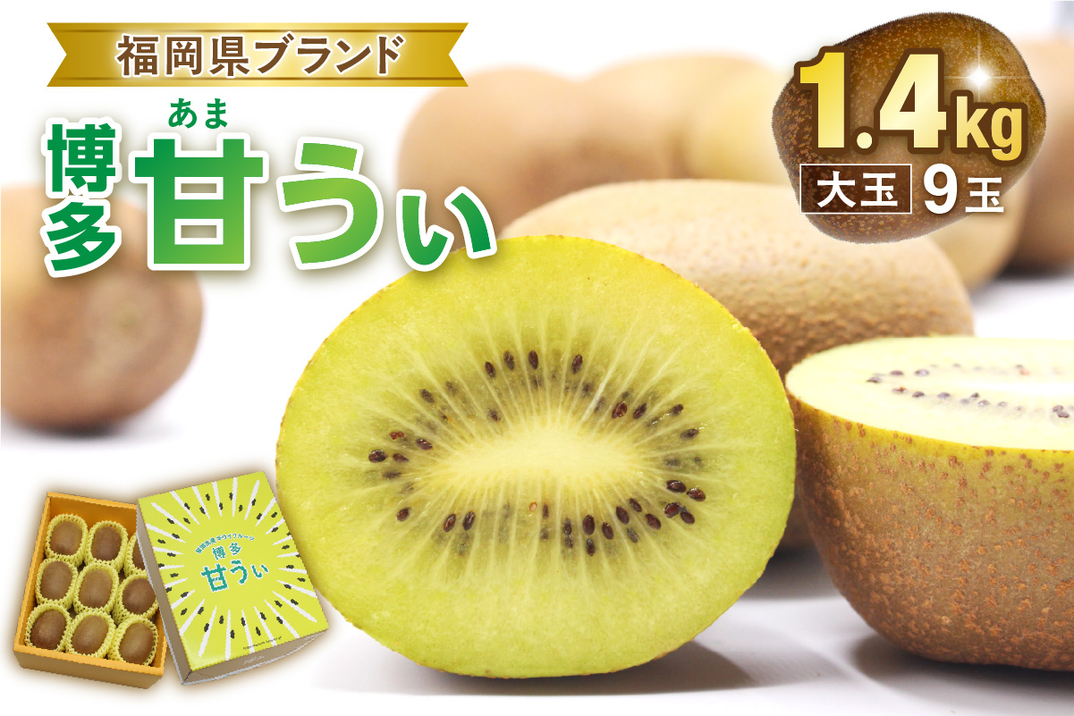 【ギフト】キウイフルーツ「博多甘うぃ」約1.4kg化粧箱入り【ほたるの里】_HA0943