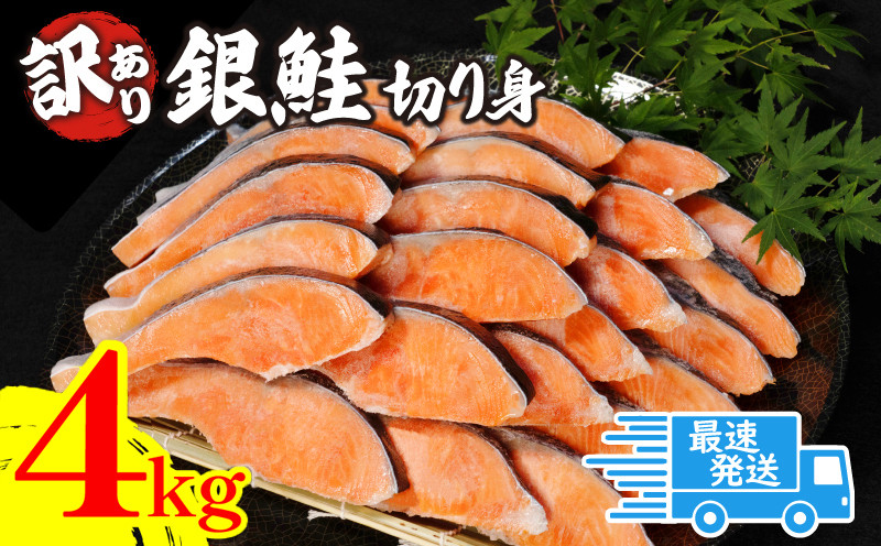 
            訳あり 塩銀鮭 切身 4kg 2週間配送 冷凍 鮭 さけ しゃけ 銀鮭 シルバーサーモン サーモン カマ 規格外 不揃い 魚 海鮮 魚介類 魚貝 シーフード 家庭用 おかず おつまみ 弁当 惣菜 ごはんのお供 ごはん おにぎり 米 こめ ふるさと納税 人気 おすすめ グルメ お取り寄せ 大容量 送料無料 徳島県 小松島市 【北海道･沖縄･離島への配送不可】
          