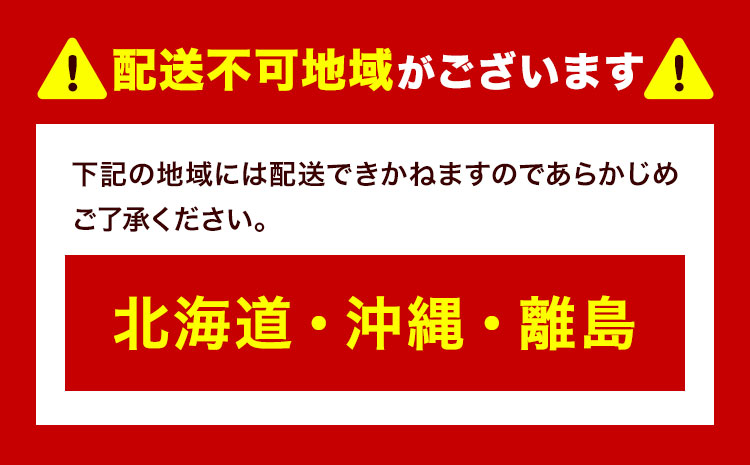 【先行予約】 岡山県産 つる付き ニューピオーネ & シャインマスカット 晴王 セット 露地栽培 ニューピオーネ1房 マスカット2房 有限会社ホーティカルチャー神島《9月上旬-10月中旬頃出荷》岡山県