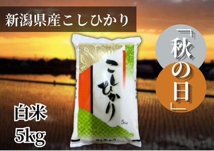【令和6年産】新潟県産こしひかり「秋の日」（白米5kg）新潟県の美味しいお米。