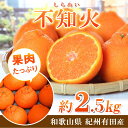 【ふるさと納税】紀州有田産不知火(しらぬひ) 2.5kg ※2月中旬頃〜3月中旬頃に順次発送予定 ※離島への配送不可 / ミカン 蜜柑 柑橘 果物 フルーツ 国産 和歌山県 有田 不知火 しらぬい でこぽん //dekopon