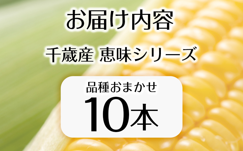 【先行予約】北海道 千歳産 とうもろこし 1本430ｇ以上 10本 恵味シリーズの中からおまかせで1種類 野菜 トウモロコシ 甘い 旬 夏 BBQ ＜ふぁーむあんざわ＞