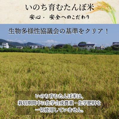 ふるさと納税 小松島市 【令和8年産新米】玄米 コシヒカリ 5kg 天皇献上米 (栽培期間中)化学肥料・農薬不使用米 小松島 |  | 01