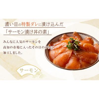 ふるさと納税 高知市 高知の海鮮丼の素「サーモンの漬け」約80gx10パック【BX088】 |  | 01
