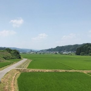 【青森ごのへ産】味に自信 サンふじ 約5kg【配送不可地域：離島・沖縄県】【1034082】