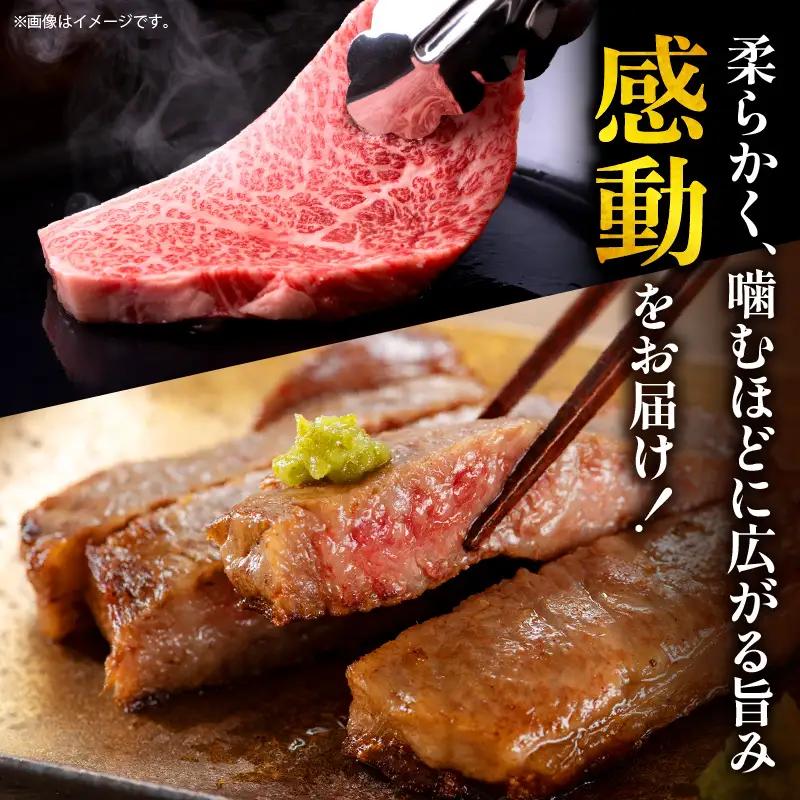 牛肉 ステーキ 牛肉[宮崎牛 ロース 500g]