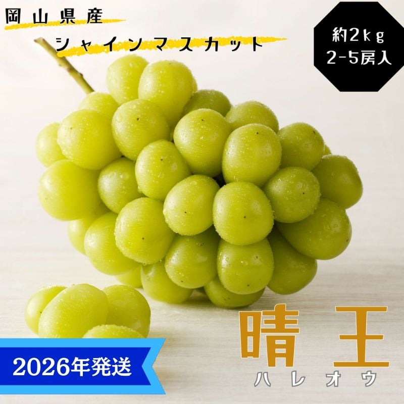 
            【2026年先行受付】 シャインマスカット 晴王 秀品 大房 約2kg(2～5房) 岡山県産 ぶどう 葡萄 ブドウ ギフト 御礼 プレゼント 御礼 御祝 御供 果物 くだもの フルーツ
          