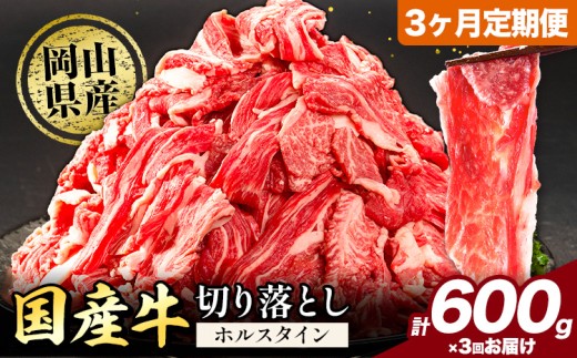 【3ヶ月定期便】牛肉 肉 国産牛 切り落とし ホルスタイン 大容量 小分け 600g(300g×2) 《お申込み月の翌月から出荷開始》岡山県産 岡山県 矢掛市 お肉 にく カレー 牛丼 牛肉 切り落し 小分け 切落し 牛肉 小分け 牛肉