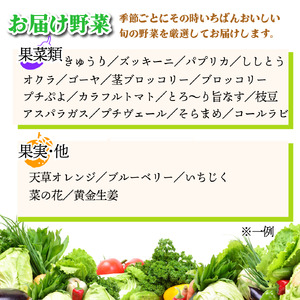 野菜セット 9〜10品 定期便 12回 野菜
