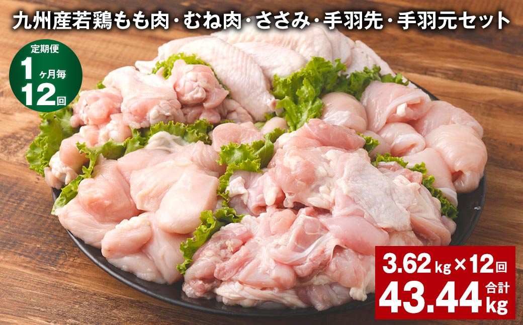 
            【1ヶ月毎12回定期便】 九州産若鶏もも肉・むね肉・ささみ・手羽先・手羽元セット 計約43.44kg（約3.62kg×12回） 鶏肉 お肉 セット【申込み翌月から出荷】
          