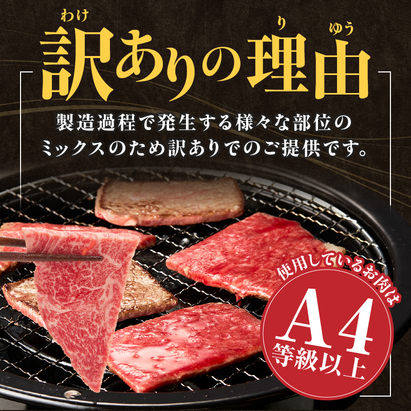 A4等級以上 宮崎牛 訳あり 焼肉 バラエティパック おためし500g（牛肉 肉 お肉 黒毛和牛 宮崎牛 ブランド牛 内閣総理大臣賞4大会連続受賞）_イメージ3