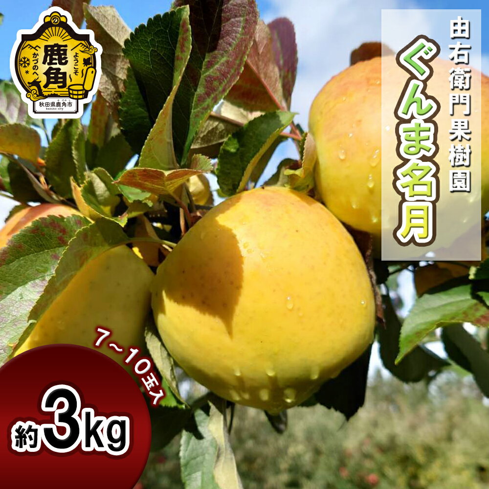 【ふるさと納税】《 先行予約 》由右衛門果樹園 りんご 「 ぐんま名月 」 約3kg （7〜10玉）旬 食感 果汁 ぐんま 名月 完熟 旬 県産りんご お歳暮 贈り物 お見舞い グルメ ギフト 故郷 秋田 あきた 鹿角市 鹿角 りんご 送料無料 【由右衛門果樹園】●2025年11月中旬発送開始