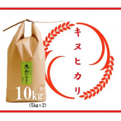 ふるさと納税 竜王町 令和7年産　近江米【キヌヒカリ10kg】