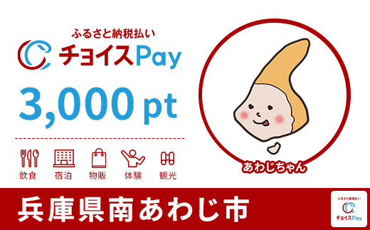 
            南あわじ市チョイスPay 3,000pt【会員限定のお礼の品】
          