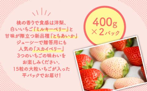 満足3種食べ比べセット（ミルキーベリー、スカイベリー、とちあいか）400g×2パック 800g｜先行予約 数量限定 ※2025年2月上旬～4月中旬頃に順次発送予定