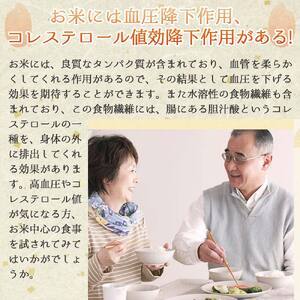 【きぬむすめ】令和７年産 白米30kg【5営業日以内発送】