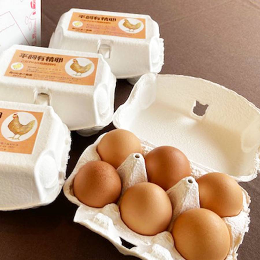 ＜森のたまご農園＞「平飼い卵」24個